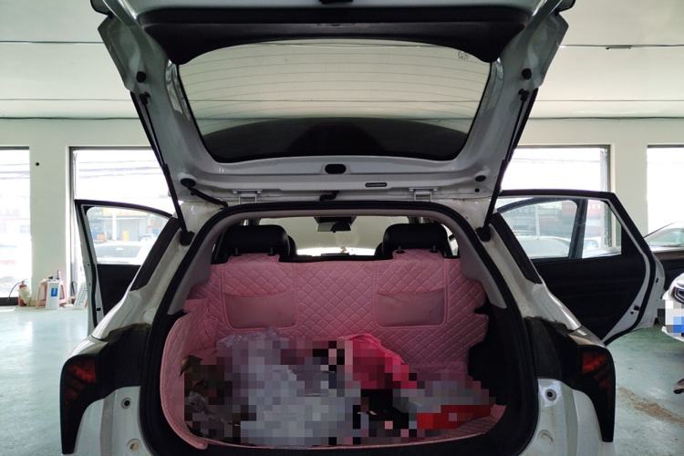 Used NETA V 2022 Pro Long-Range Smart Edition
