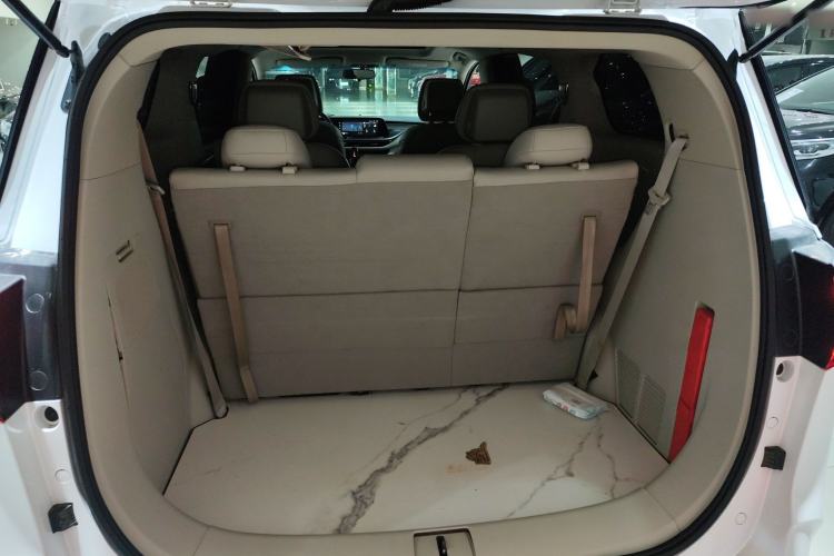 Used Buick GL8 2022 ES Landtrek 653T Comfort Edition
