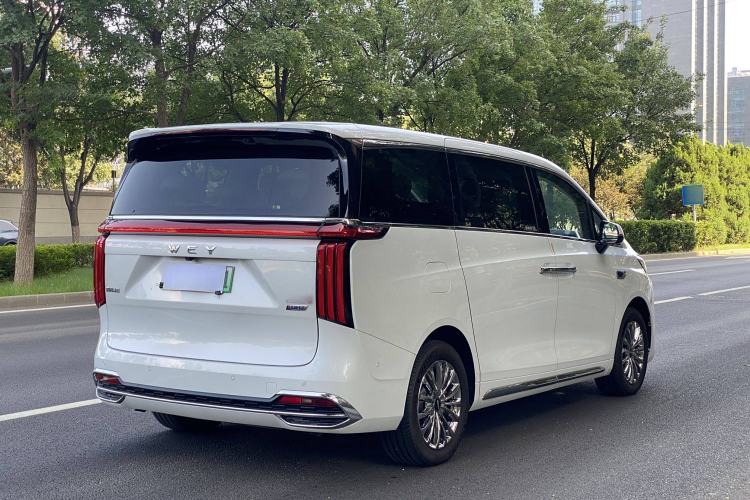 Used Wey Gaoshan 2023 Four-Wheel Drive Flagship Edition
