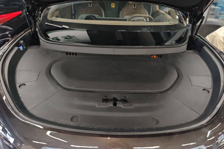 Used  07 2024 Max Extended-Range Edition
