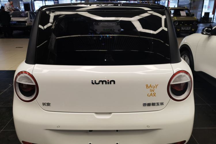Used  Lumin 2025 205 km Xiangqin Version
