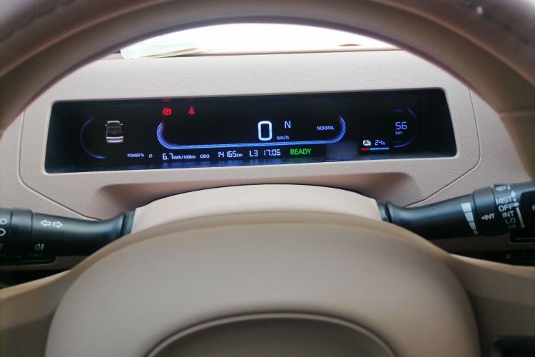 Used  Panda 2024 Panda Mini 200km Endurance Bear
