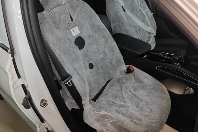 Used Geely Auto Monjaro L 2024 2.0TD DCT EVO Two-Wheel Drive Long-Range Version