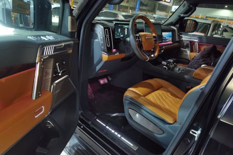 Used  917 2023 Pure Electric Base Model
