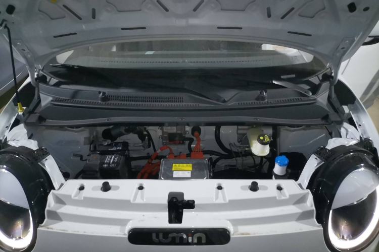 Used  Lumin 2025 205 km Xiangqin Version