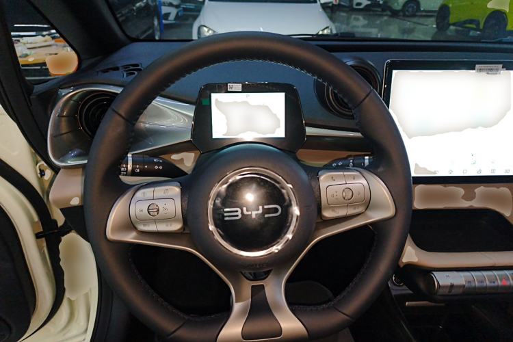 Used BYD Dolphin 2025 420km Free Edition
