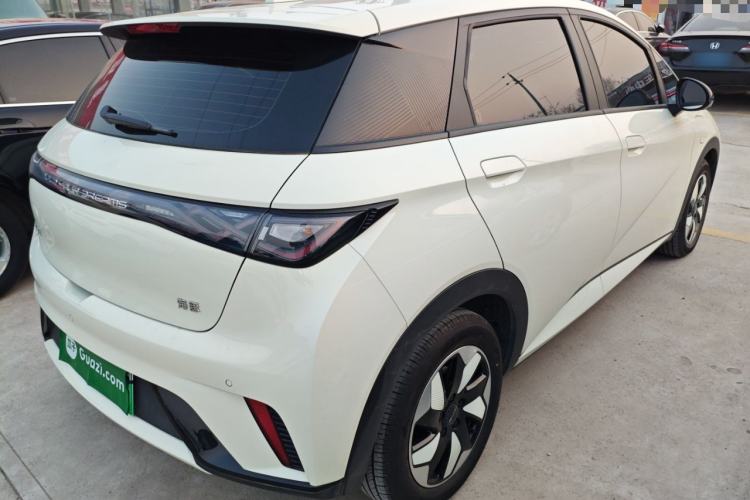 Used BYD Dolphin 2025 420km Free Edition
