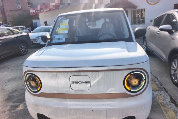 Used  Panda 2024 Panda Mini 200km Endurance Bear
