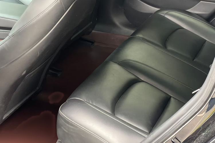 Used Tesla Model 3 2021 Standard Range Rear-Wheel Drive Upgraded Version 3D6