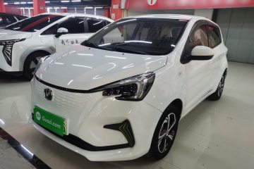 Used Oshan Benni E-Star 2022 Qingxin Edition Colorful Model Lithium Iron Phosphate