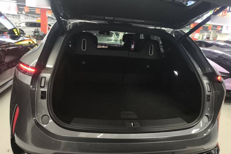 Used  07 2024 Max Extended-Range Edition
