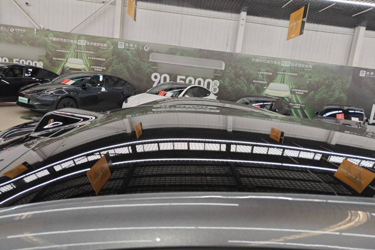 Used  07 2024 Max Extended-Range Edition
