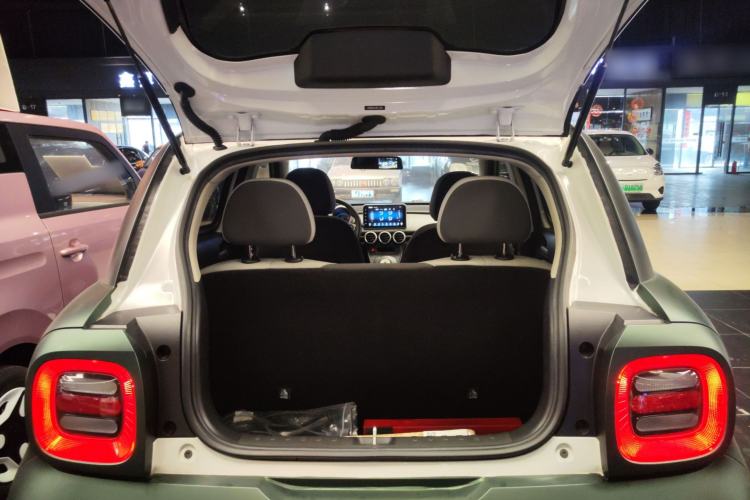 Used ORA Black Cat 2022 Updated Version 301 km Cute Pet Edition Lithium Iron Phosphate