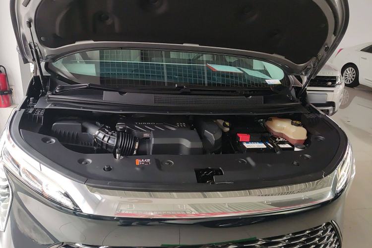 Used Buick Century 2023 2.0T Four-Seat Private Edition
