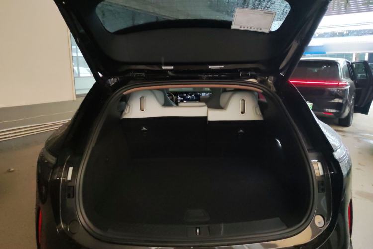 Used  07 2024 Pro Pure Electric Version