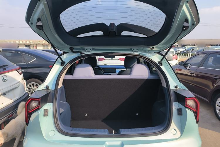 Used Geometry E Firefly 2022 401 km Linglong Tiger 4 Seats