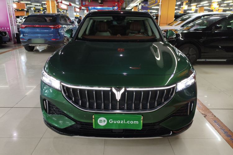 Used VOYAH FREE 2022 Four-Wheel Drive Ultra-Long Range Pure Electric Version