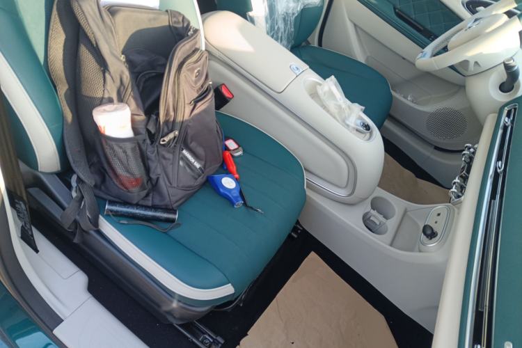 Used ORA Good Cat 2024 401 km Luxury Version