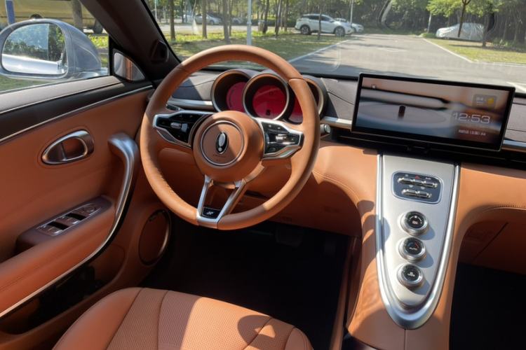 Used ORA Lightning Cat 2022 555 km Luxury Edition
