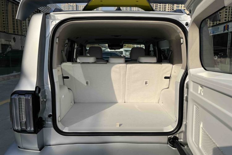 Used  Tank 300 2021 2.0T Cyber Tank
