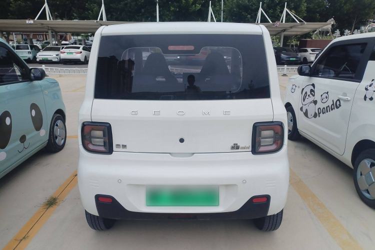 Used  Panda 2023 Panda Mini 200km Endurance Bear
