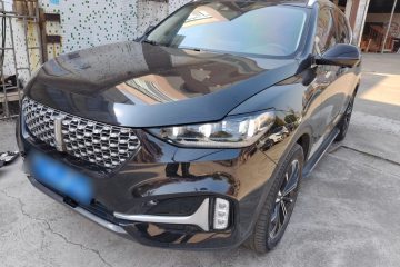 Used Wey VV6 2021 2.0T Two-Wheel Drive Smart Plus