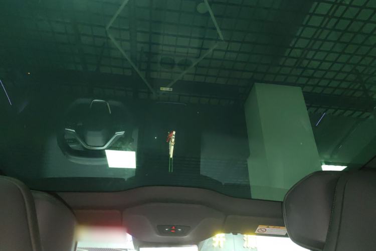 Used  06 2025 Ultra Pure Electric Edition