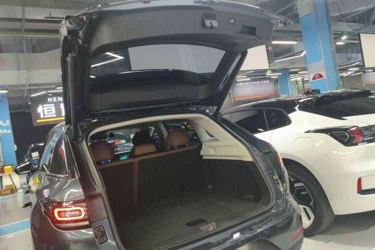 Used Leapmotor C11 2023 Pure Electric 500 Comfort Edition
