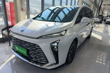 Used Buick GL8 2025 Lu Zun Deluxe Edition