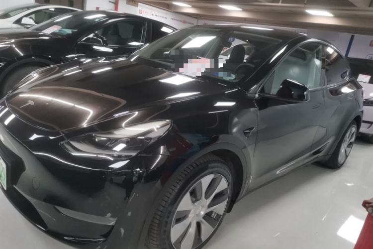 Used Tesla Model Y 2021 Standard Range Rear-Wheel Drive Version

