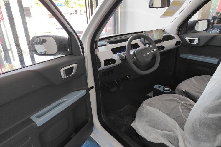 Used  Panda 2024 Panda Mini 200km Endurance Bear
