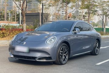 Used ORA Lightning Cat 2022 555 km Luxury Edition