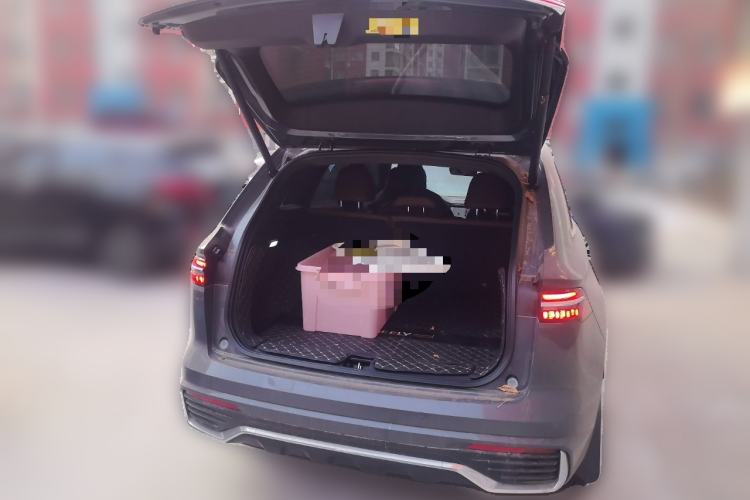 Used Geely Auto Monjaro L 2024 2.0TD High-Power Automatic Two-Wheel Drive Yunqi Version
