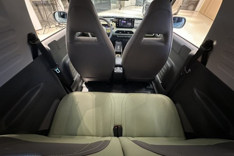 Used  Panda 2024 200km Panda Rider
