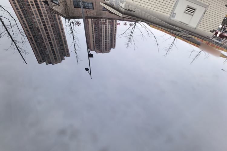 Used  12 2025 Max All-Electric Version