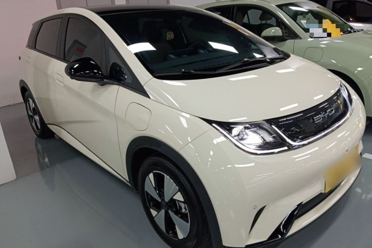 Used BYD Dolphin 2023 420 km Fashion Edition