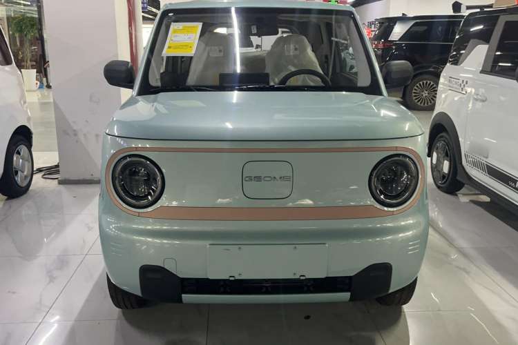 Used  Panda 2024 Panda Mini 200km Endurance Bear