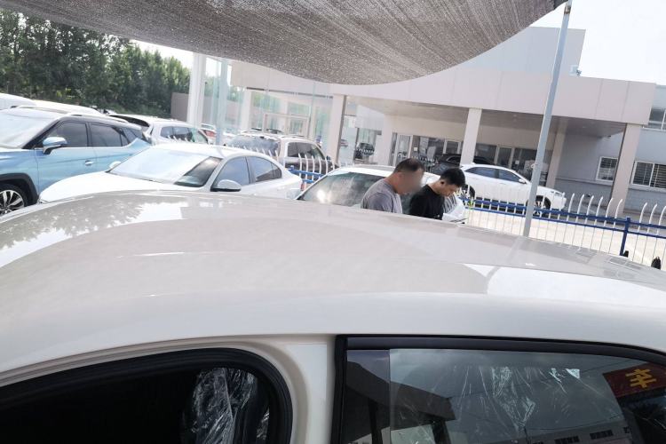 Used BYD Seagull 2025 Intelligent Driving Version 305 km Dynamic Edition
