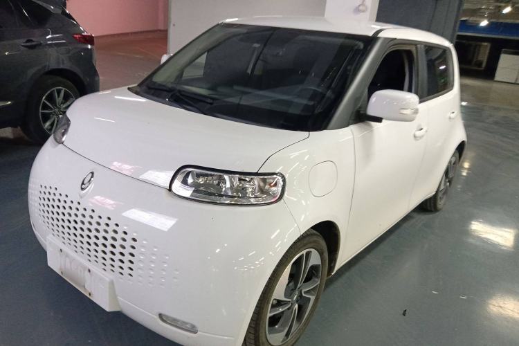 Used ORA White Cat 2022 Upgraded Model 305km Range Luxury Version Lithium-Ion Battery
