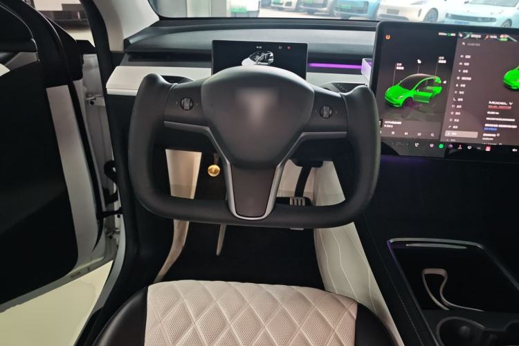 Used Tesla Model Y 2022 Performance High-Performance All-Wheel-Drive Version
