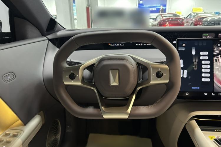 Used  06 2025 Pro Range-Extended Edition