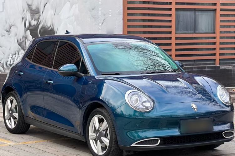 Used ORA Good Cat 2023 401 km Standard Range Luxury Version Lithium Iron Phosphate
