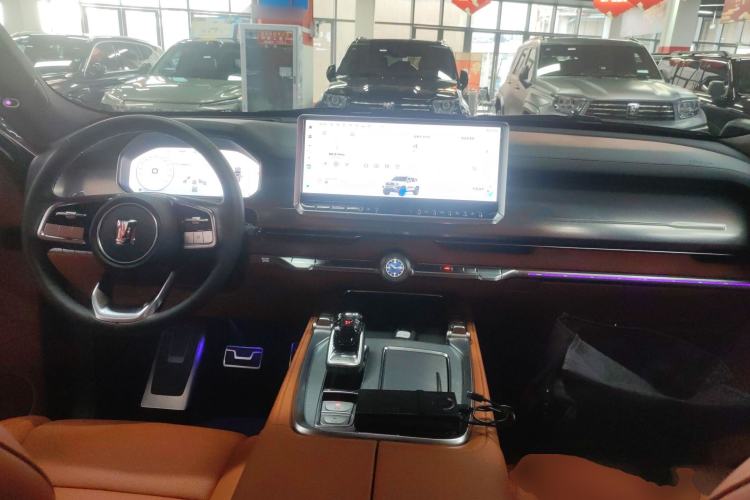 Used Tank 700 New Energy 2024 Hi4-T Extreme Edition
