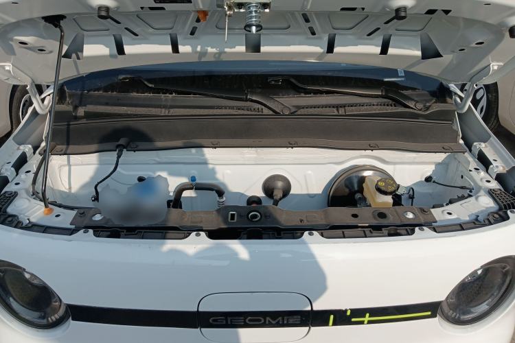 Used  Panda 2025 210 km – Yuanqi Bear
