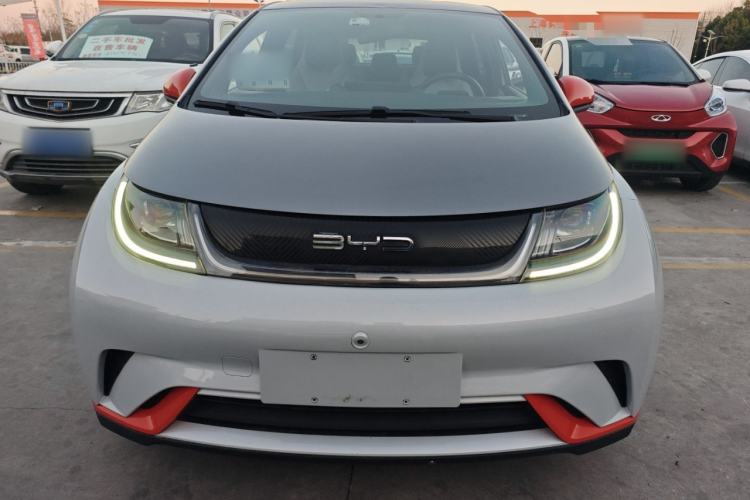 Used BYD Dolphin 2021 405 km Free Version
