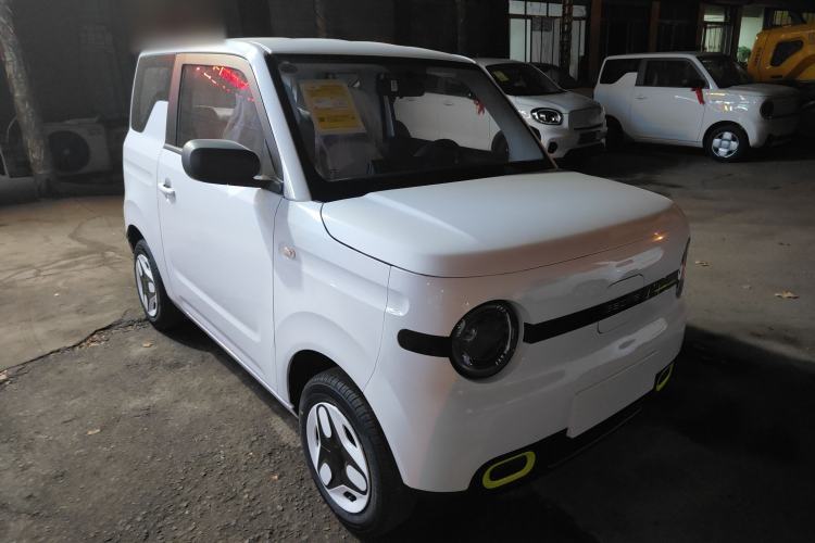 Used  Panda 2025 210 km – Yuanqi Bear
