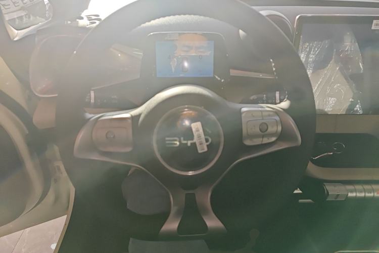 Used BYD Dolphin 2025 420km Free Edition
