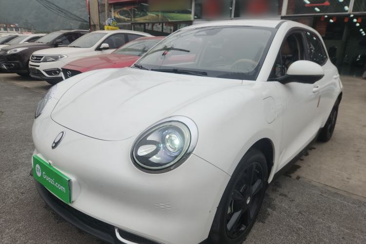 Used ORA Good Cat 2024 401 km Luxury Version