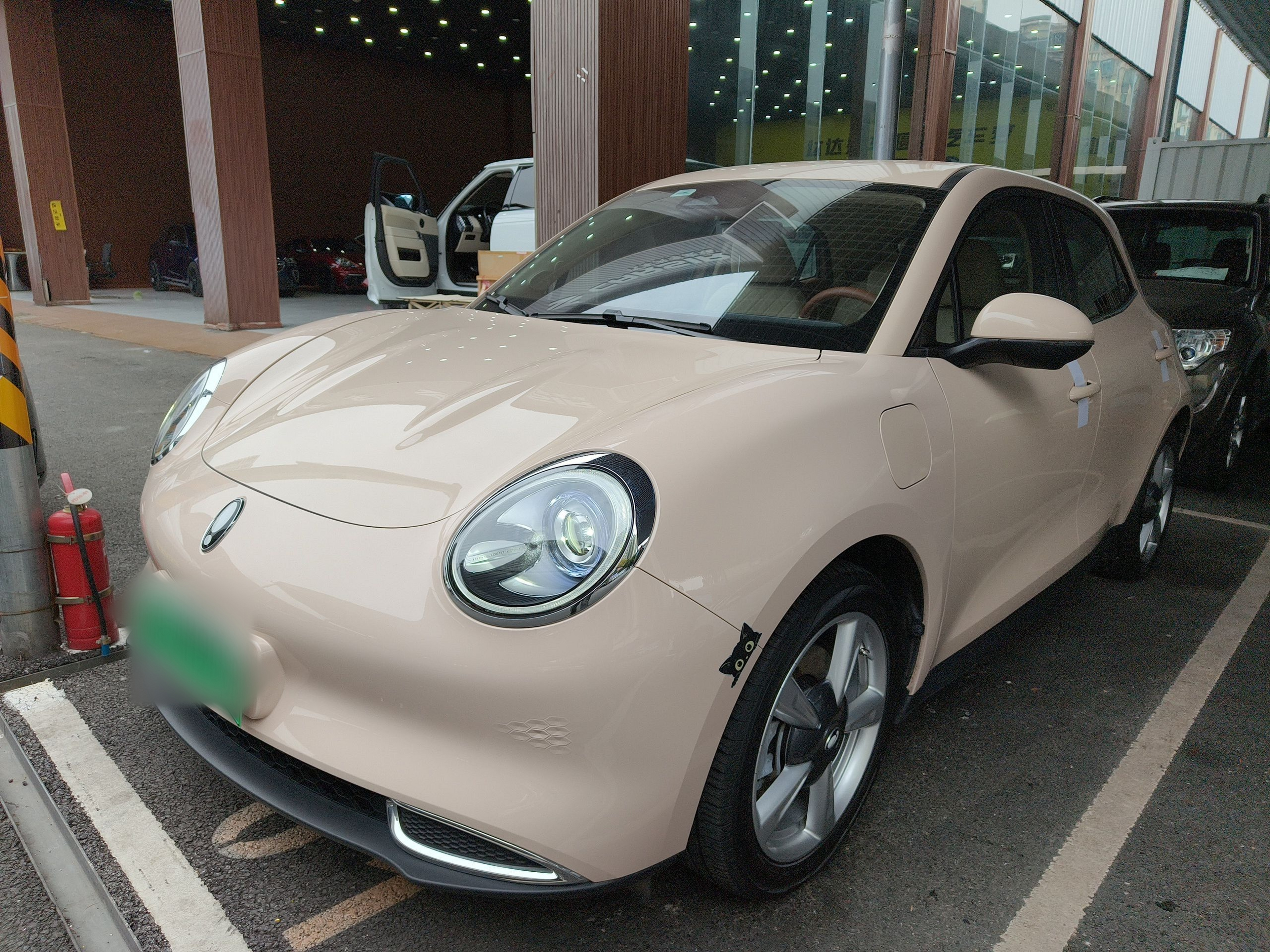 تحت مقدمة السيارة