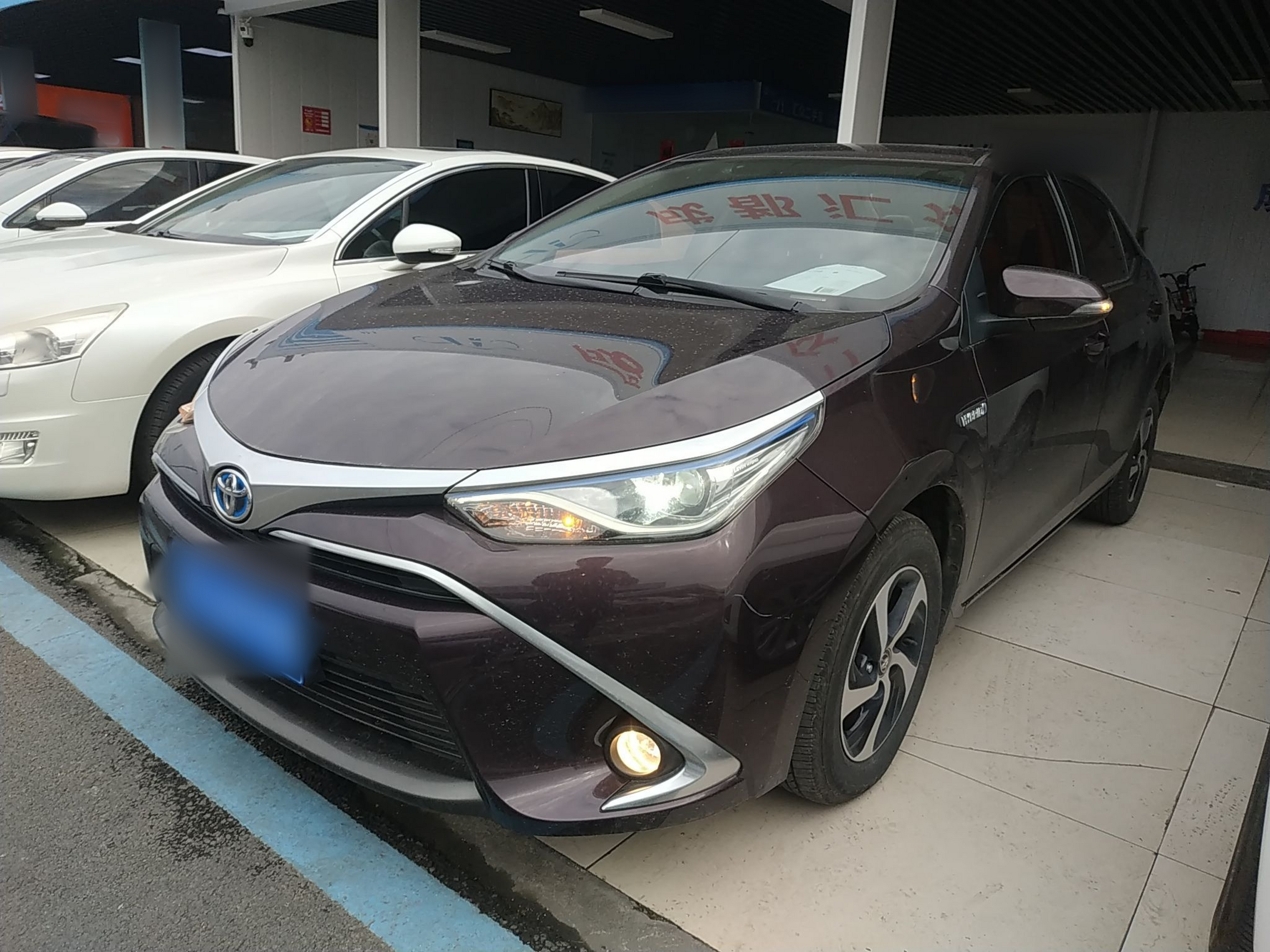 تحت مقدمة السيارة